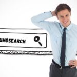 Searching Experience with Sumosearch